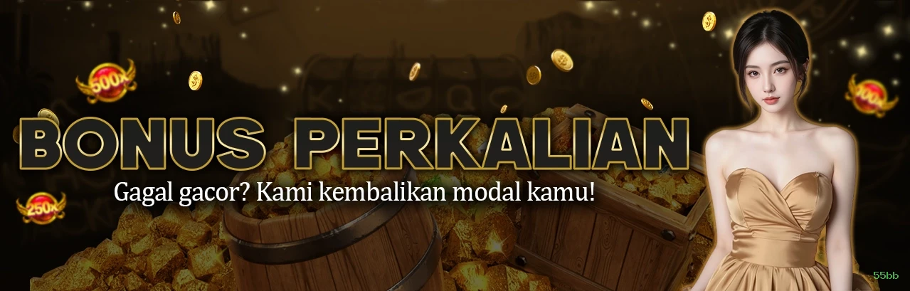 FAQ 55bb
